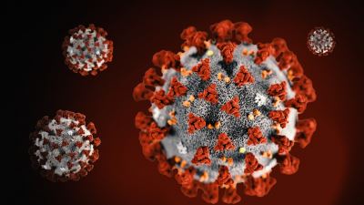How universities, colleges are responding to the coronavirus (Southern New England)